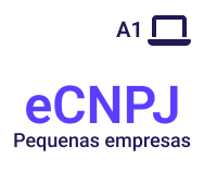 e-CNPJ - PME  (12 meses)